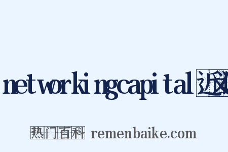 networkingcapital近义词是什么意思的图片